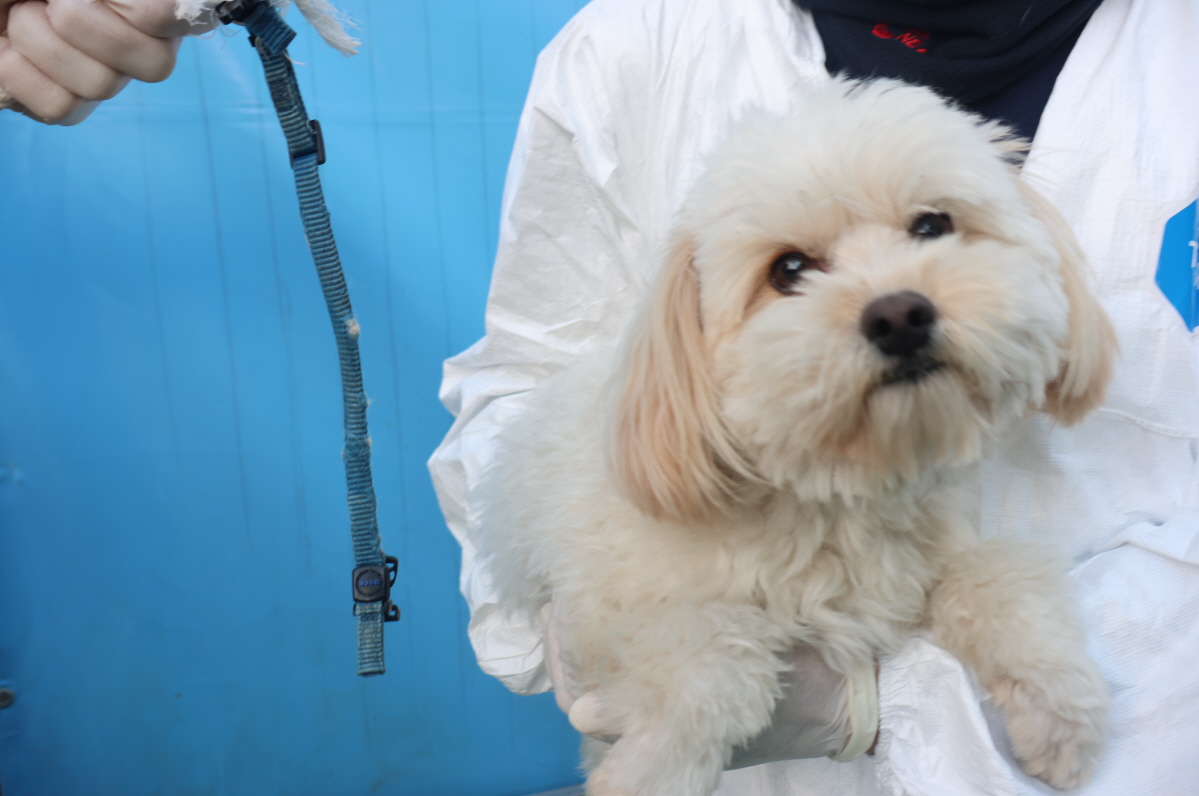 제주 동물보호센터_450650202403694